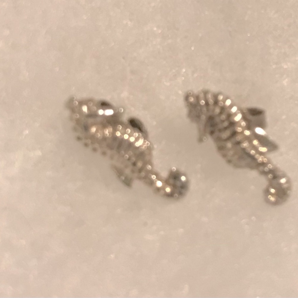 Sterling silver earrings